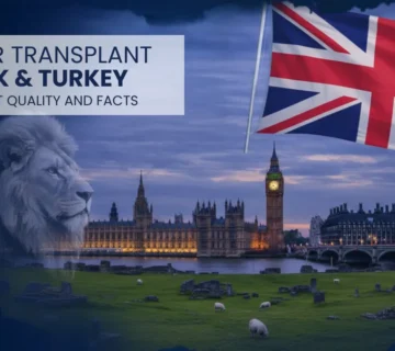 Hair Transplant Uk Vs Turkey   Cost, Quality And Key Facts